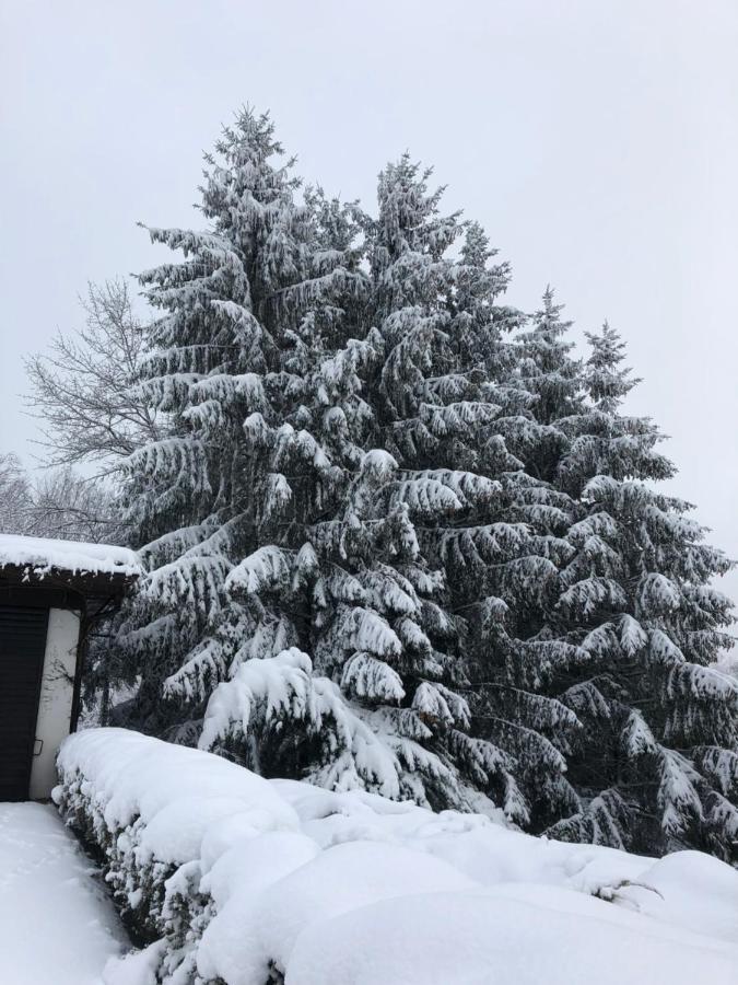 Fruehstueckspension Porranzl Persenbeug Buitenkant foto